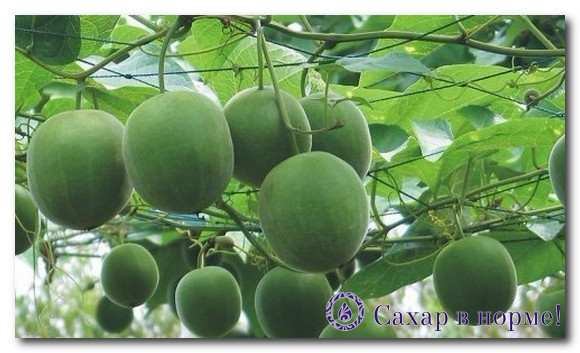 фрукт Луо Хан Гуо в сахарозаменителе Лаканто